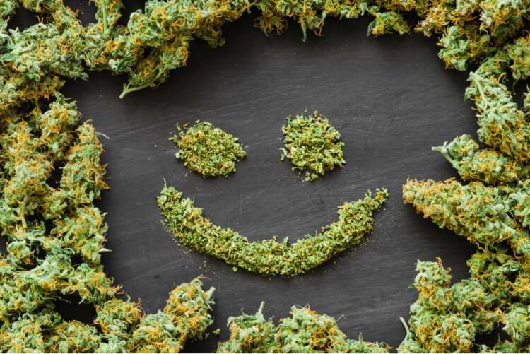 Stoner Aesthetic: The cannabis-inspired fashion label with big ambitions