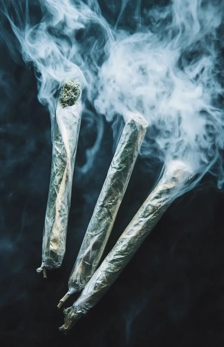 CBD Joints : Best CBD Pre-Rolls With High Quality Hemp [2022]