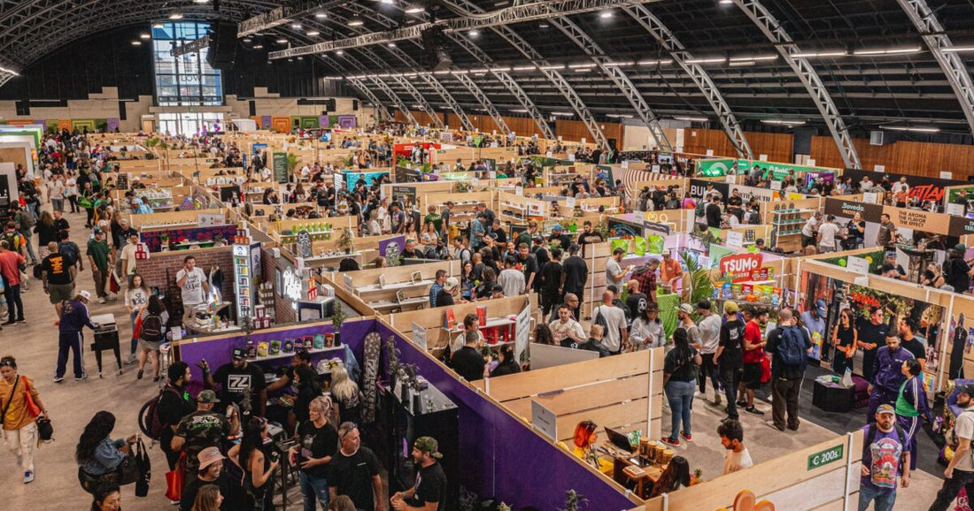 Smoke & Mirrors: Cannabis Brand Consolidation and Celebrity Weed Flops