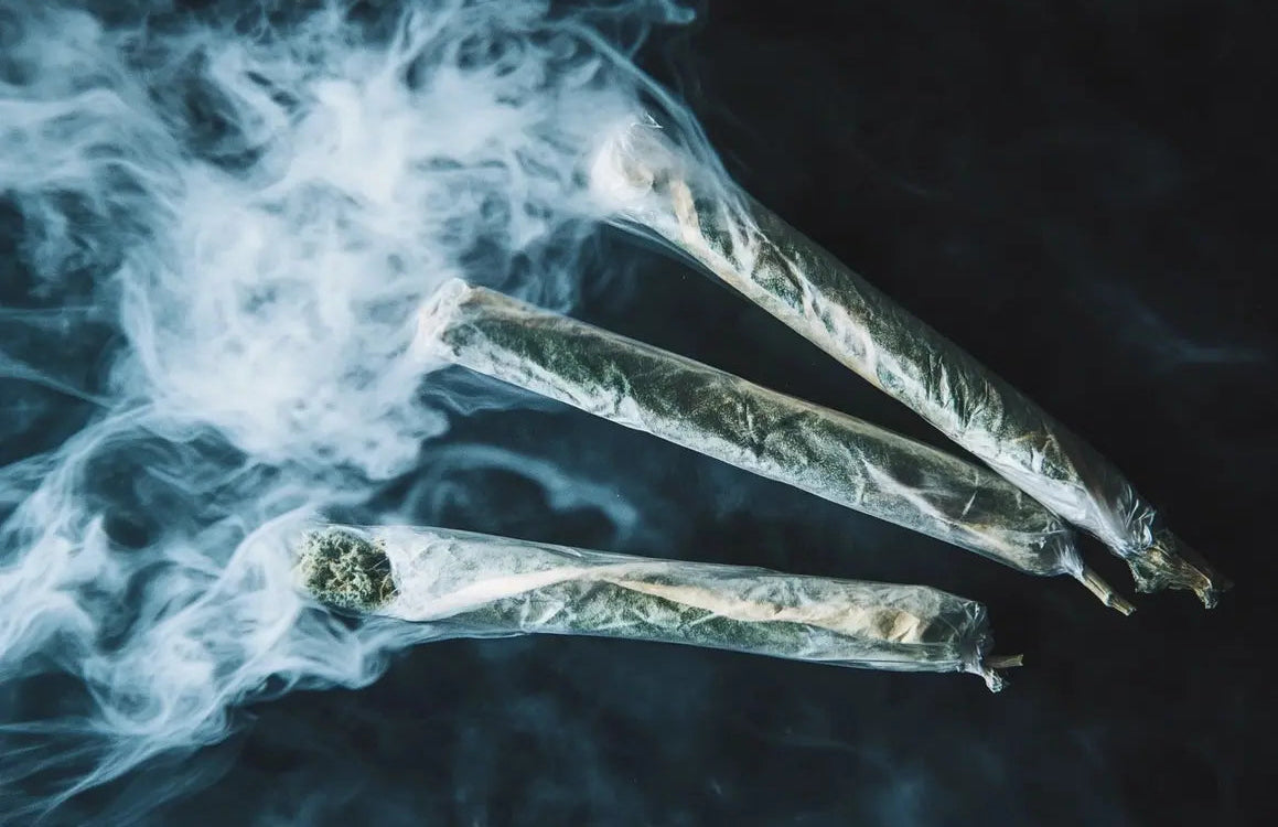 diamond infused pre rolls by hollyweed