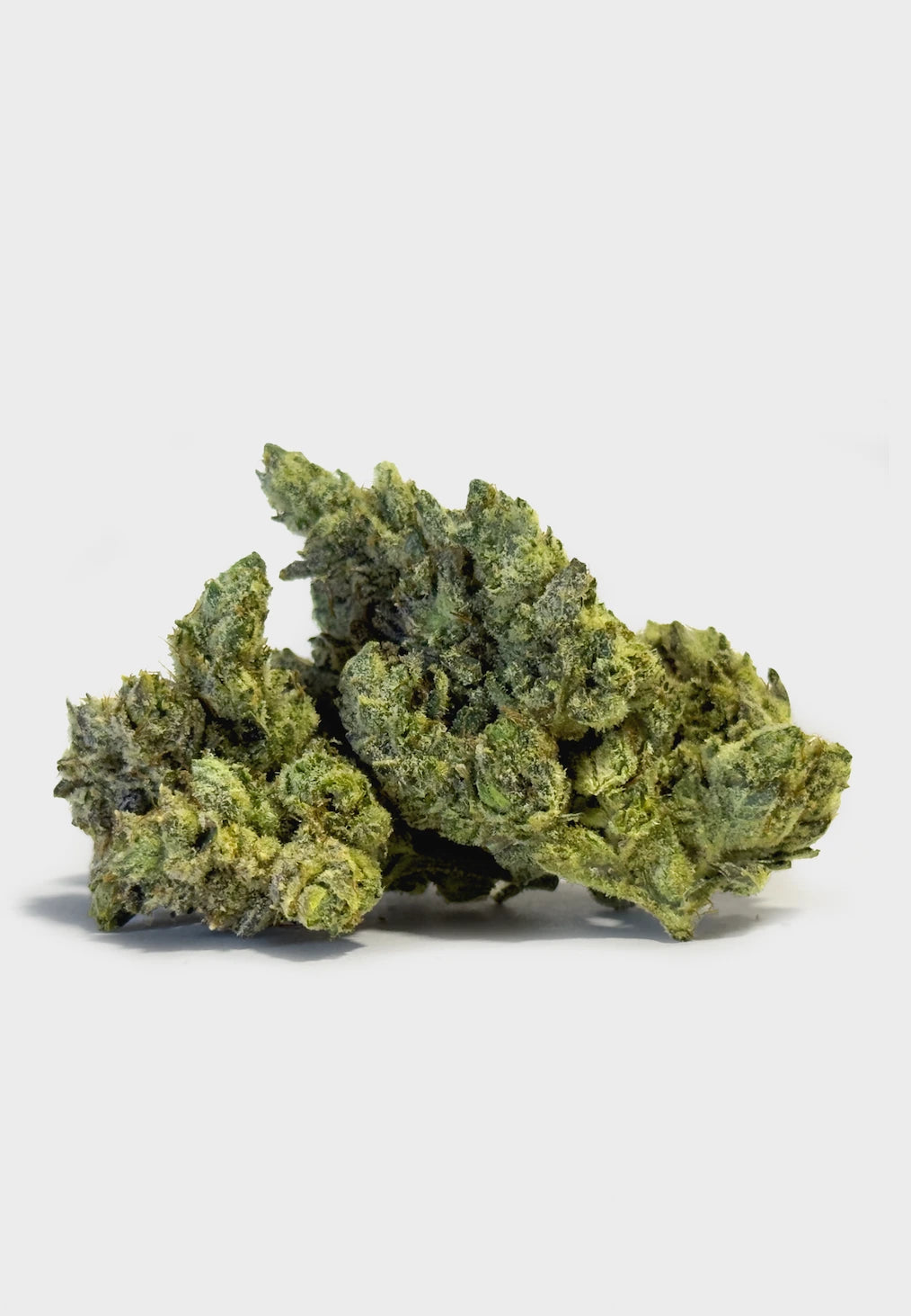 gorilla glue thca strain nug