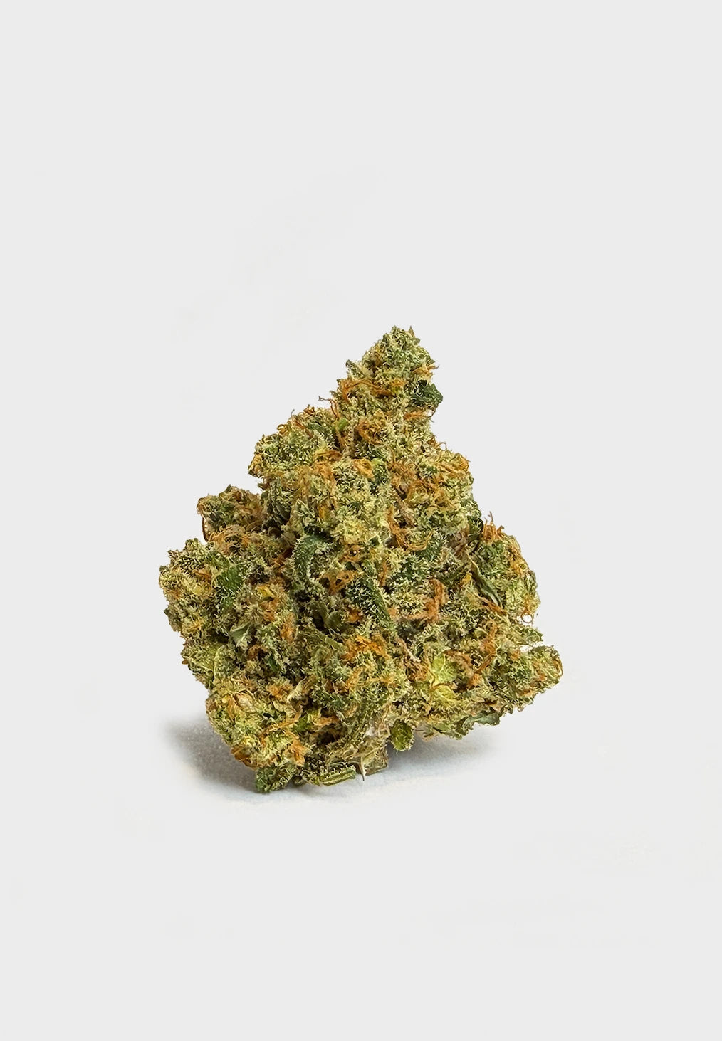 jack herer thca strain
