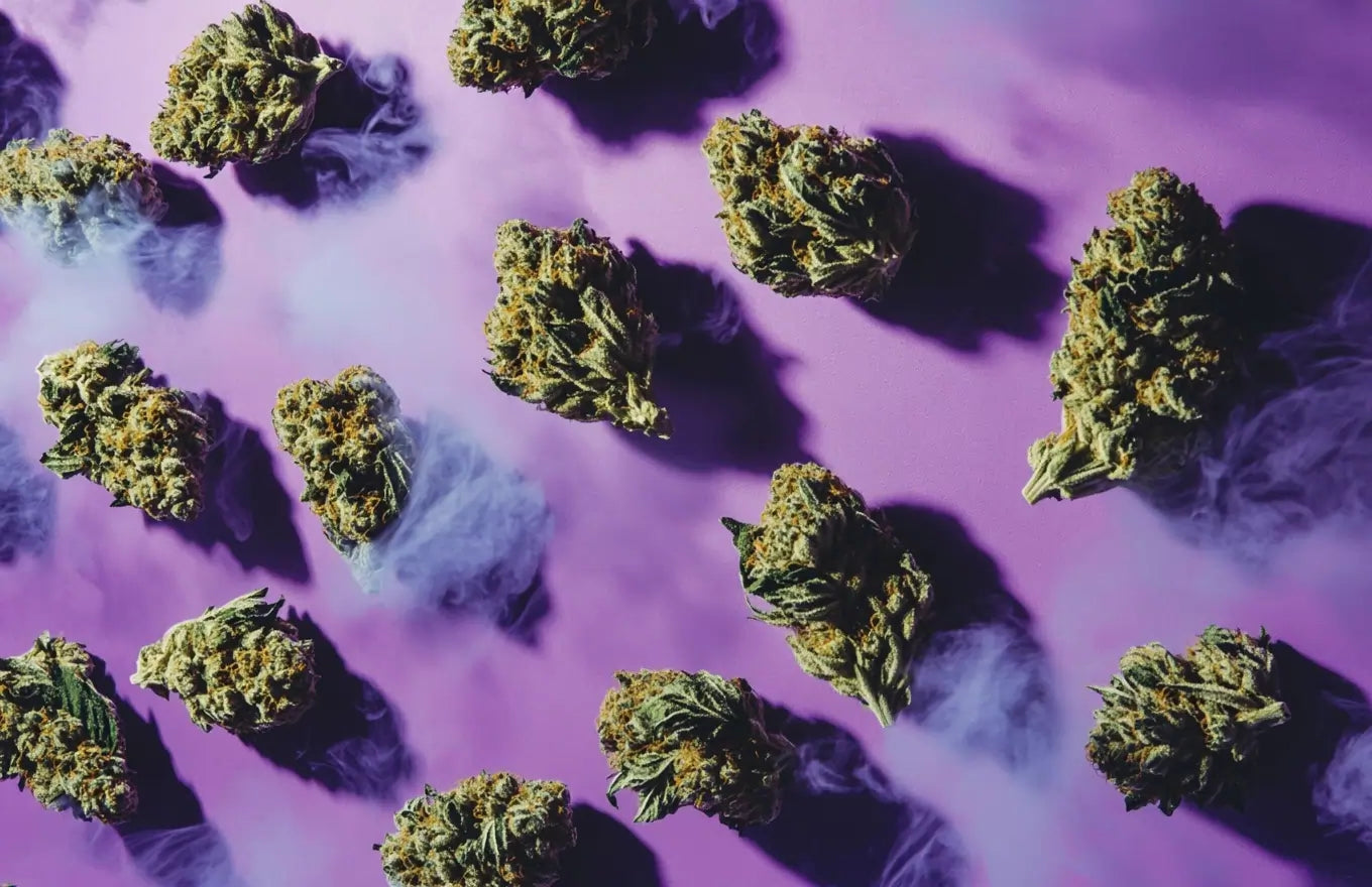 small bud thca popcorn nugs on purple table